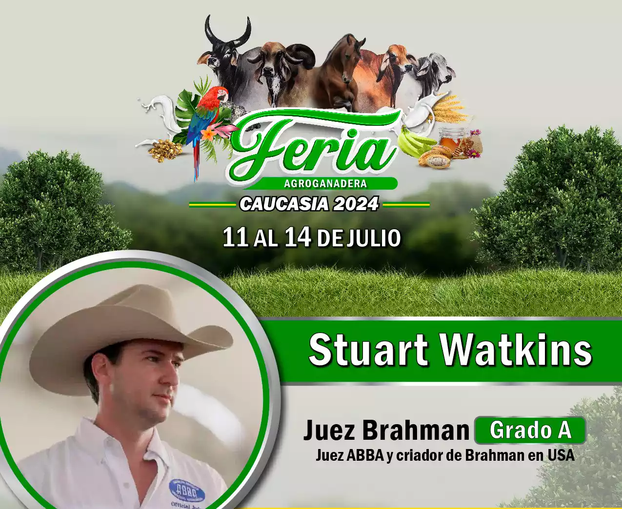 Juez Brahman cortado